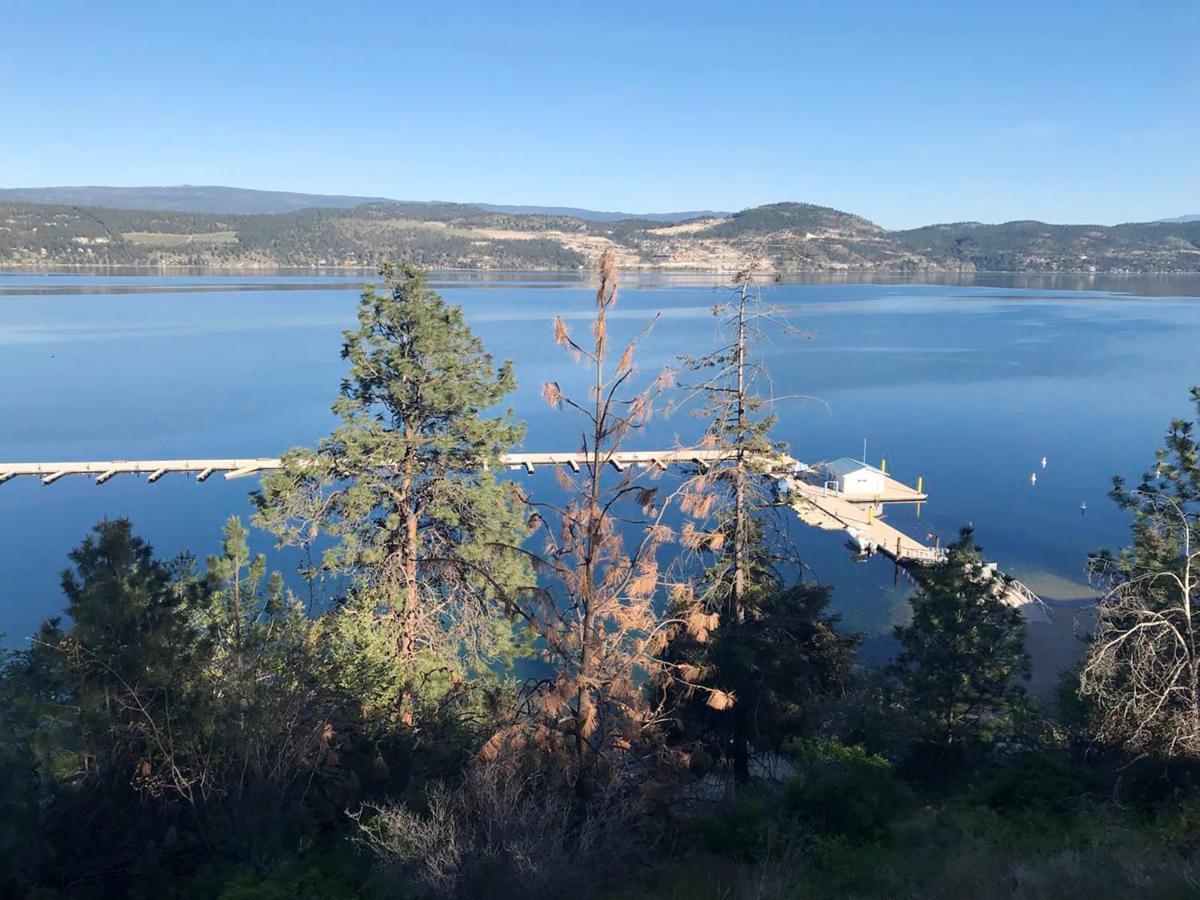 Cozystay Signature Lake Okanagan Resort Kelowna Luaran gambar